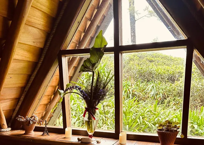 Villa 47 Nuwaraeliya Nuwara Eliya